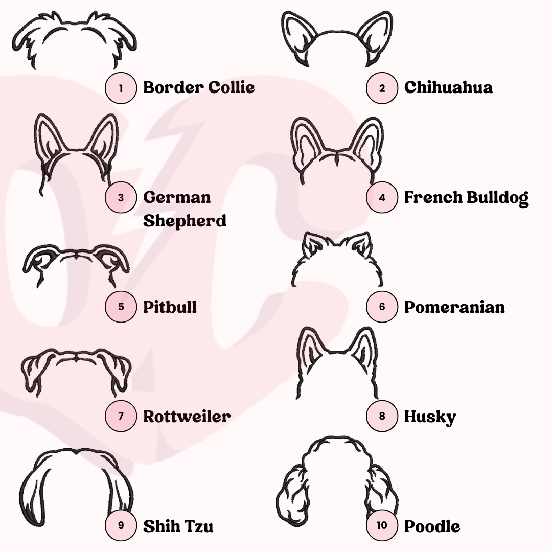 Personalised Dog Outline Embroidered Sweatshirt with Name
