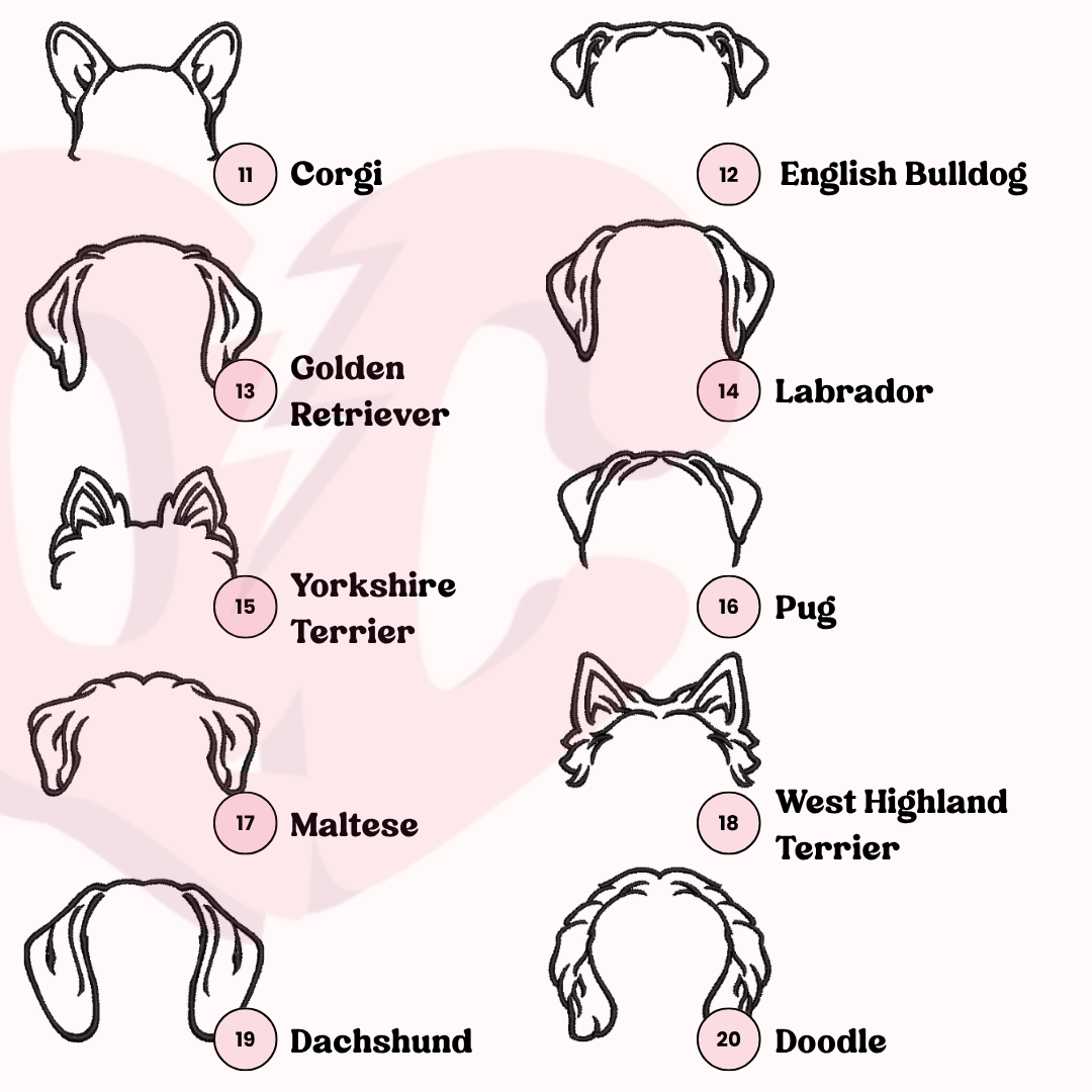 Personalised Dog Outline Embroidered Sweatshirt with Name